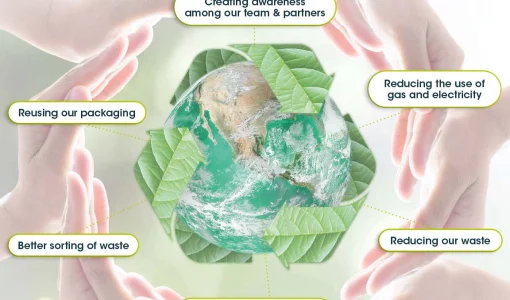 A more sustainable company policy based on ISO 14001