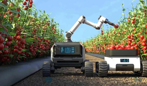 AGVs & AMRs